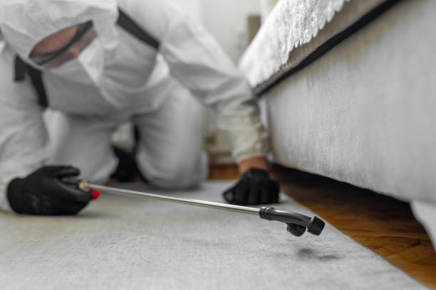 Professional Mosquito Control technician working in Apache County County, AZ